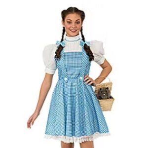 ✨ Wizard of Oz Dorothy Costume Set L 14-16 w/ Ruby Slippers & Toto 🌈